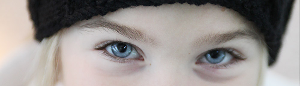 Elija's internet book