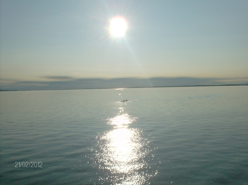 the skwigls and no skwigls at all at ALL