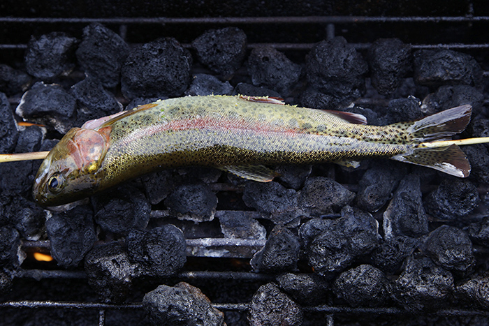 trout on a stick This was supost to be a trout on the BBQ.